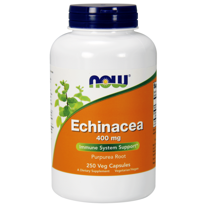 Echinacea 400 mg - NOW Foods