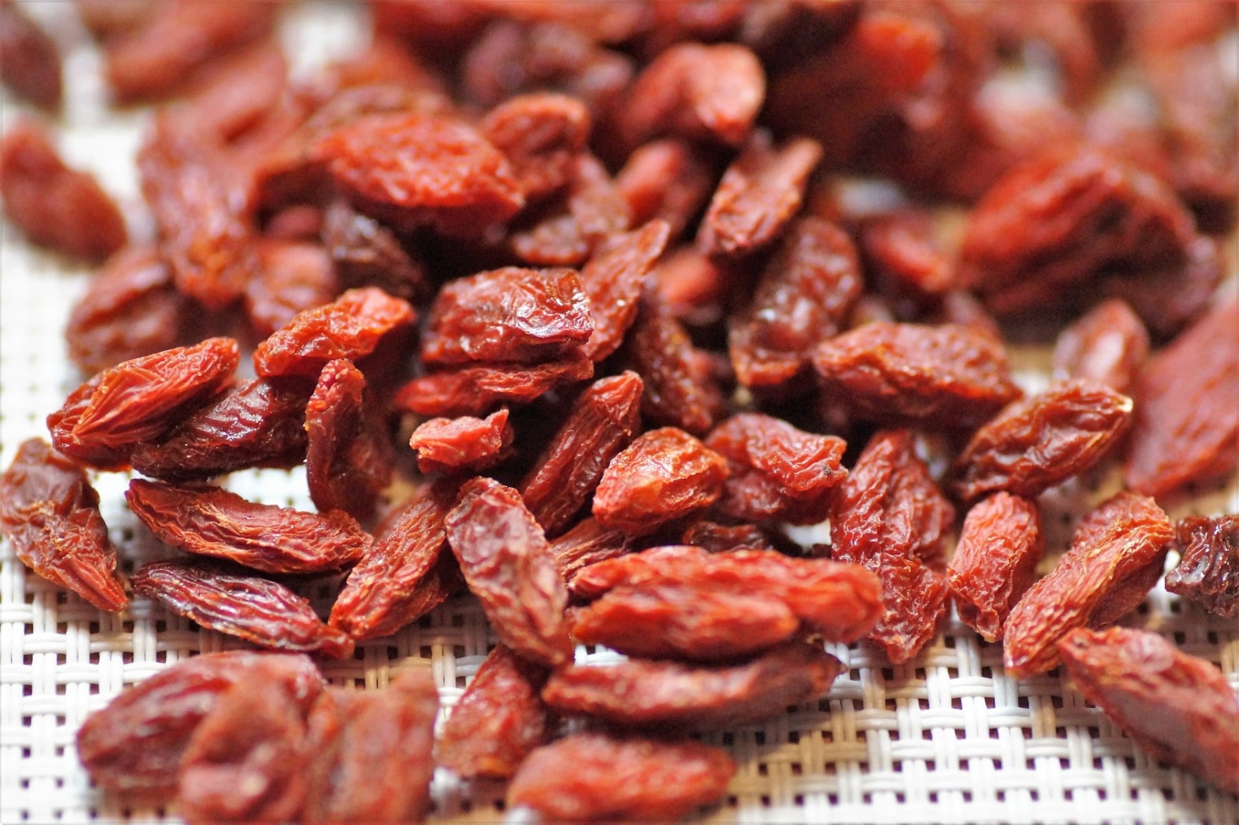 Goji - Wolfberry